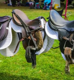 Sola jahanja rogaska slatina