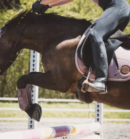 Sola jahanja rogaska slatina