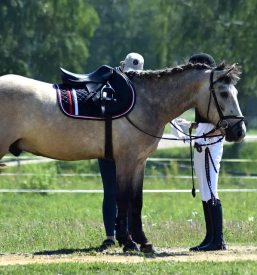 Sola jahanja za otroke savinjska