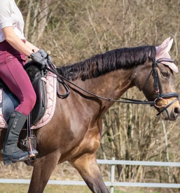 Sola jahanja za otroke savinjska