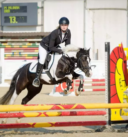 Dobra šola jahanja Žalec, Slovenija