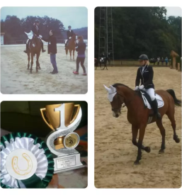 Šola jahanja Žalec, Savinjska