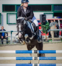 Kvalitetna šola jahanja Žalec