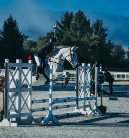 Ugodna šola jahanja Žalec