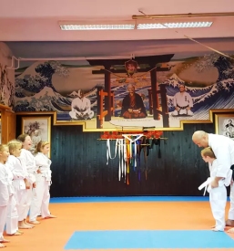 Sola karateja koroska