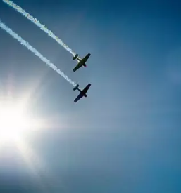 Solanje pilotov lesce