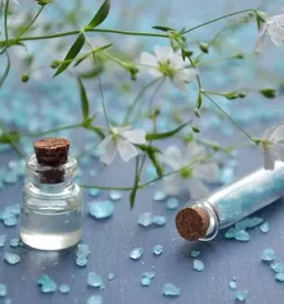 Solna soba skofja vas