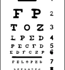 Soncna ocala slovenske konjice