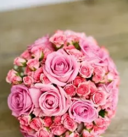 Sopki roz ljubljana center