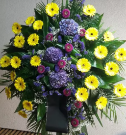 Brezplačna dostava cvetja