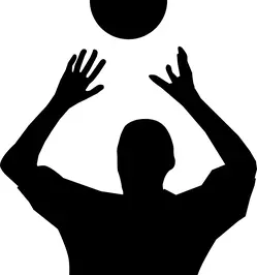 Sportne aktivnosti odbojke za zaposlene zavarovalnice triglav