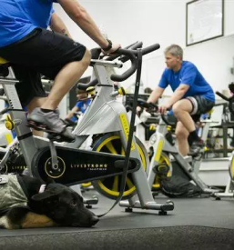 Sportni center vogu gorenjska