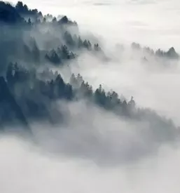 Spravilo lesa notranjska