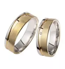 Srebrne elektrode ljubljana