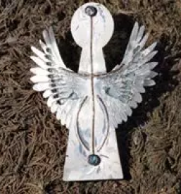 Srebrne elektrode ljubljana