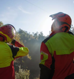 Srednja gozdarska in lesarska sola postojna