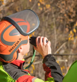 Srednja gozdarska in lesarska sola postojna