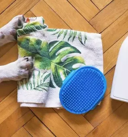 Strizenje zivali skofja vas