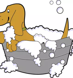 Strizenje zivali skofja vas