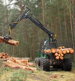 Strojna secnja lesa gorenjska