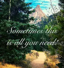 Strokovna pomoc pri poporodni depresiji