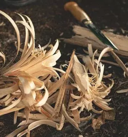 Struženje lesa Slovenija