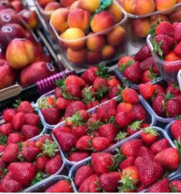 Sveže sadje in zelenjava Ljubljana