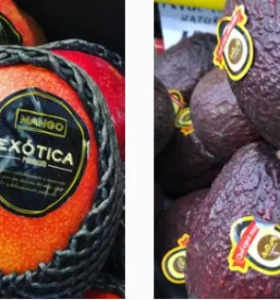 Prodaja sadja in zelenjave BTC 