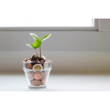 PAVLIČ IN PARTNER D.O.O., STROKOVNO FINANČNO IN POSLOVNO SVETOVANJE