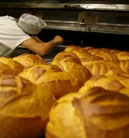 Sveze pekovsko pecivo ljubljana polje osrednja slovenija