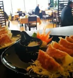 Tajska restavracija osrednja slovenija