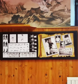 Tecaj karateja radlje ob dravi