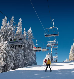 Tecaj smucanja postojna notranjska