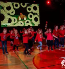 Tecaji plesa stajerska