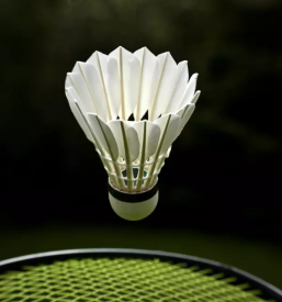 Tenis in badminton igrišče 