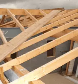 Tesarstvo krovstvo ljubljana