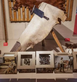 The best museum in slovenia