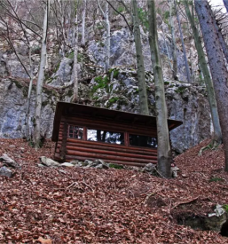 The best museum in slovenia