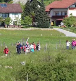 Tic Semič