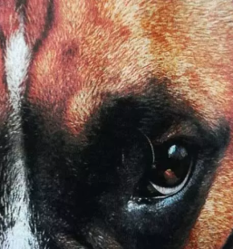 Tisk na tekstil slovenija avstrija