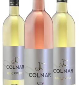 Tiskarna novo mesto dolenjska