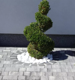 Tlakovanje dvorišč Ljubljana