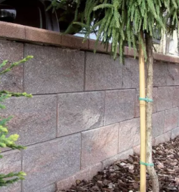 Tlakovci in prana plosca