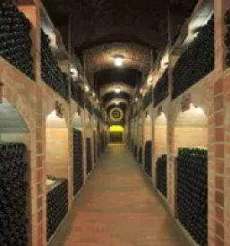 Tourist tours pomurje