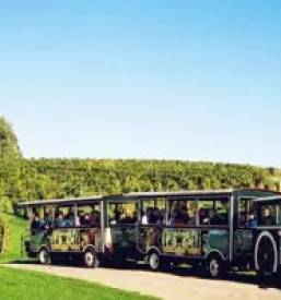 Tourist tours pomurje