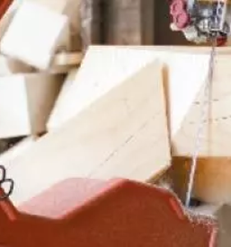 Tracne zage in listi za tracne zage slovenija