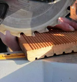 Tracne zage listi za tracne zage slovenija