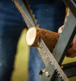 Tracne zage listi za tracne zage slovenija