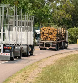 Transport lesa crnomelj