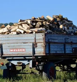 Transport lesa crnomelj